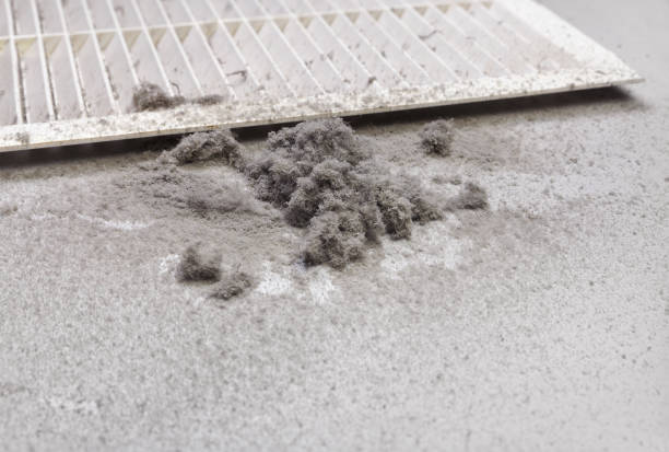 Best Affordable Duct Cleaning Services  in Rocky Point, WA