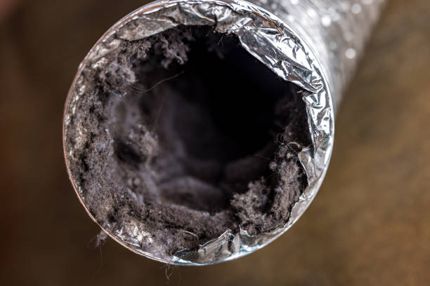 Best Affordable Duct Cleaning Services  in Rocky Point, WA